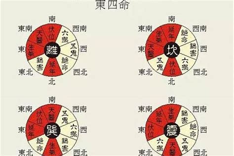 东四命西四命算法|八宅东四命与西四命的计算方法